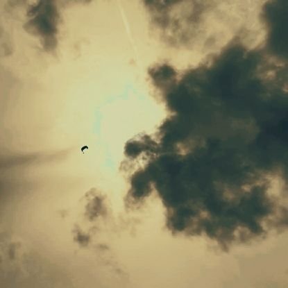 own_track's profile picture. In Air We Trust