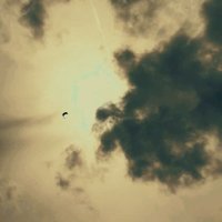 owntrack 🌻 (@own_track) 's Twitter Profile Photo