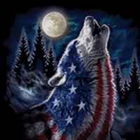Linda prentice (@lindaprenwolf) 's Twitter Profile