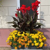 St Brélade Parish Hall (@st_breladeph) 's Twitter Profile
