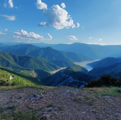 deep2905's profile picture. All views are attributable to others