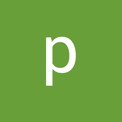 pedrocaon14's profile image