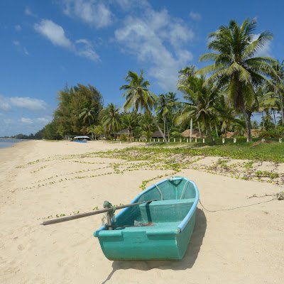 TAscam666's profile picture. 