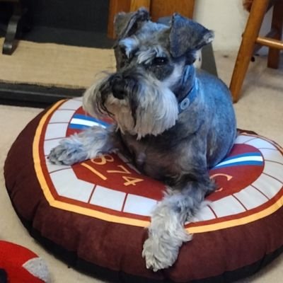 knoxnmusic's profile picture. Love Scotland and Music. Thoughts are very much my own.