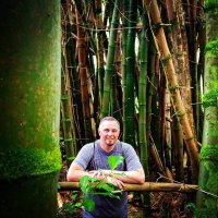 HodlerHero 💎👐🐳 (@hodlhero) 's Twitter Profile