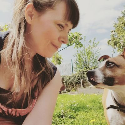 ukandback's profile picture. Be the light. Unless you need to be the dragon.

Iowa. Geek, web dev, marketing, INFJ/INFP.