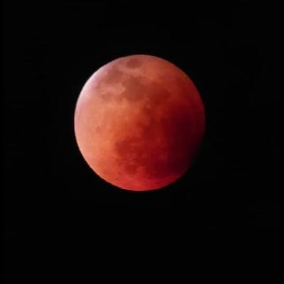 lufuriosa's profile picture. mi mal genio solo es igualado por mi arrechera.
contenido al dm