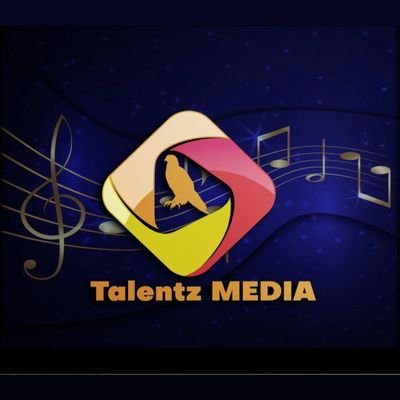 Talentz MEDIA Is An Entertainment Platform With The Mission To Discover &Elevates The Talents In Africa & The World As Large🌎.