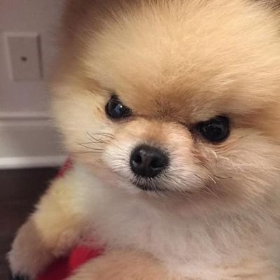 daleumi357's profile picture. 태어나 보니 나였고 살다 보니 내가 되어간다.