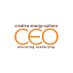 Creative Energy Options (@sylvialafair) Twitter profile photo Creative Energy Options (@sylvialafair) Twitter profile photo