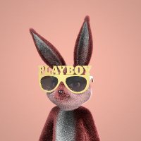 PlayboyNFTS (@playboynfts) 's Twitter Profile