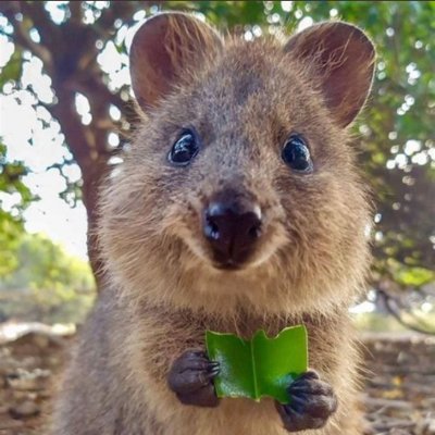 taika808's profile picture. Building @tokenradar_ai, an app to find top performing crypto tokens