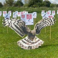 Hen Harrier Day Midlands(@HHDMidlands) 's Twitter Profile Photo