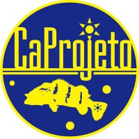 CaProjeto(@CaProjeto) 's Twitter Profile Photo
