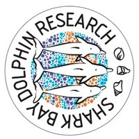 Shark Bay Dolphin Research(@ResearchDolphin) 's Twitter Profileg