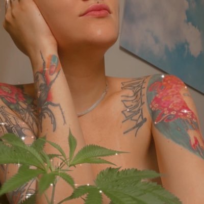 todaburocratica's profile picture. Loka de sã .👽🖖