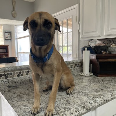 wonderbread2408's profile picture. Just here to watch :)