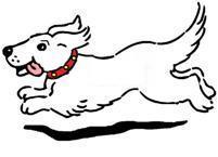 HappyDogDenver's profile picture. Nothing like a happy dog!