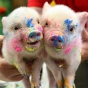 mandy Lund - @mandylund75 - Twitter