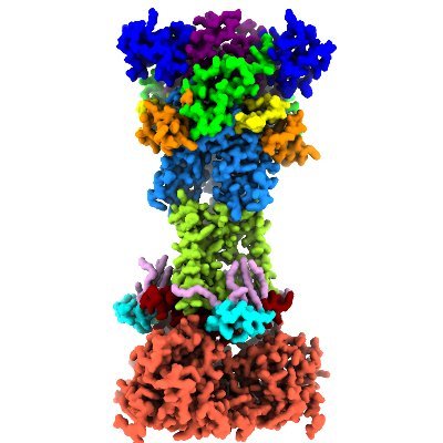 Using structural biology and rational drug design to fight heart disease.