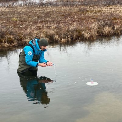 Postdoc - Vrije Universiteit Amsterdam - Earth & Climate Science - Arctic | Boreal @thawsome_VU