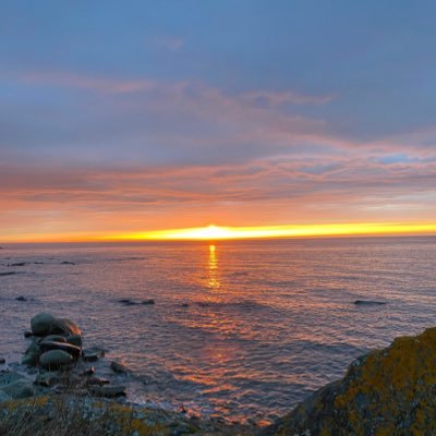 Potatoandbread1's profile picture. Yxbdbdhfnr