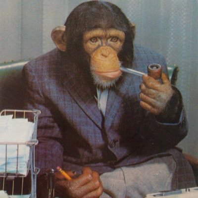 MorrisThomo's profile picture. Incorruptible!
