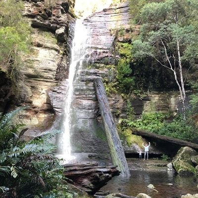 burntbaum's profile picture. We don't deserve dogs. Go Raps. Go Roos.