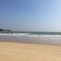 Yellow (@xiaobinhuang14) 's Twitter Profile
