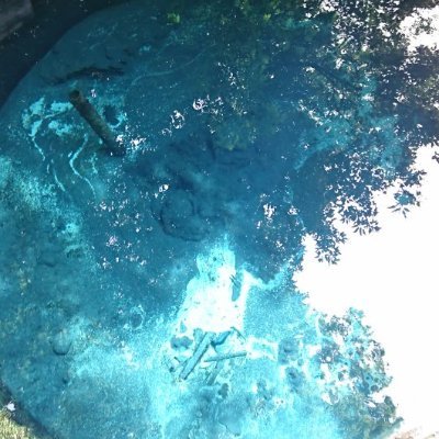 oratamah's profile picture. 