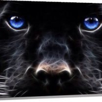 vasquez_enriqu's profile picture. You are not alone…… I'll walk with you