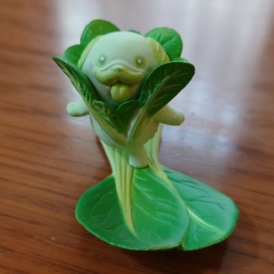 Q9wan's profile picture. 時間が有れば本読んでます😄漫画、小説、自己啓発本…ネタバレしないようチョイとつぶやきます
ボストンテリア2021.10.1生まれ㊛家族に迎えました。先代は黒パグ㊚👼。📕、酒、動物、野球、相撲、アニメ、音楽
フォロー勝手に失礼致します。
雑多垢です宜しくお願いします🙇