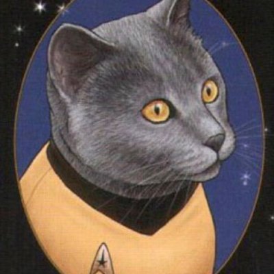 katerina5k's profile picture. #OrthodoxChristian, #ProLife, registered #Conservative from NY. Extreme views include a love of #family #cats #unalienablerights & #USA.  #TrumpWon