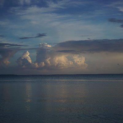 mvmotegi's profile picture. TOKYO INSTITUTE OF PHOTOGRAPHY   https://t.co/cYrfnqneov
にてプリントセミナー開講します。https://t.co/7NhDLU2bxe…