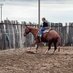 Jeff Cleland (@clelandcattle) Twitter profile photo Jeff Cleland (@clelandcattle) Twitter profile photo