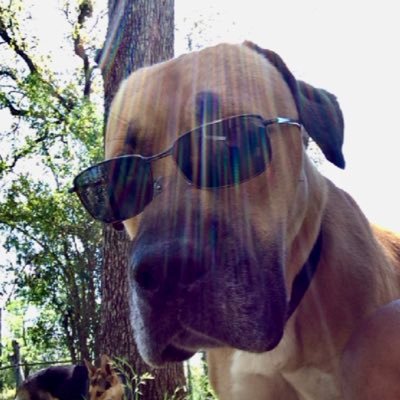 rocky87000's profile picture. “Victory comes from finding opportunities in problems” - Sun Tzu