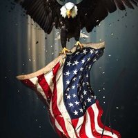Dan (@danielmaga1776) 's Twitter Profile