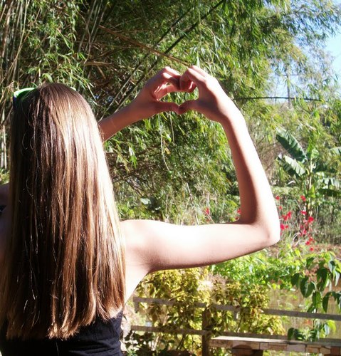 Segue ai *--*