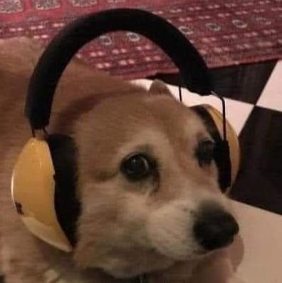 Ajoloberto's profile picture. 8=====D