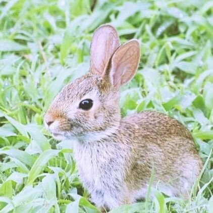 スイーツ好きです🌸ネットで学んだ哲学的なことを発信する趣味垢です＊こういうの好きな人いたら大歓迎です＊苦手な人はスルーして下さい＊無言フォロー失礼します