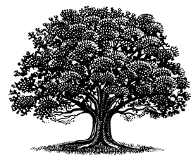 phwoodwork's profile picture. Designer/Maker of bespoke furniture and kitchens, based in Scotland