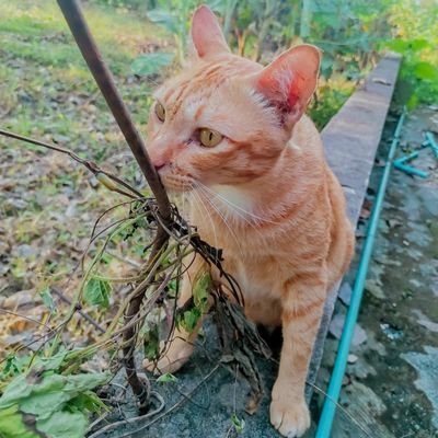 ilucky2112's profile picture. 