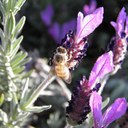 Meg Patterson - @megpatto - Twitter