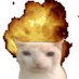 ‘little lord fuckleroy’ has left the call (@littlebinchy) Twitter profile photo ‘little lord fuckleroy’ has left the call (@littlebinchy) Twitter profile photo