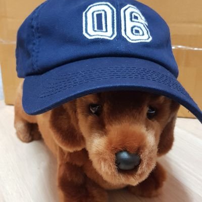 🫶@cider.saida
-시더와의 시간을 기록하는 공간입니다🐶
💌ซอฮยอนจินซอฮยอนใจ💘
🥰내 영원히 하나뿐인 사랑하는 -서현진💛
😊지금 좋아하는 - 이세영,원진아,한지민,하지원,f(x)-SNSD-RVV💗
INFJ💛INFP