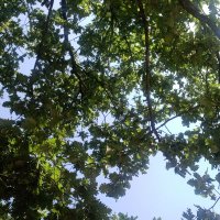 Deryakapaklı19 (@deryakapakl19) 's Twitter Profile