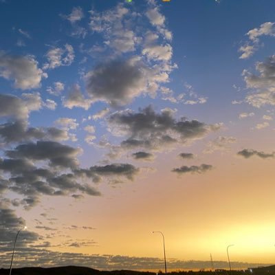 SamHardy202's profile picture. 