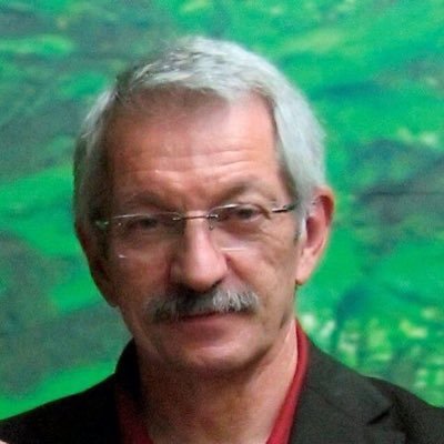 Alejandro Tiana Profile