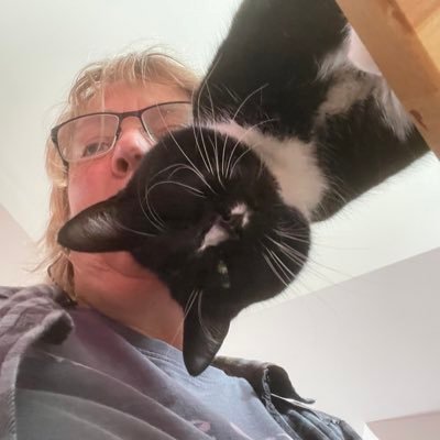 Julia Lehmann Profile