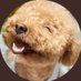 can /白テニYouTuber (@cansiroteni) Twitter profile photo can /白テニYouTuber (@cansiroteni) Twitter profile photo